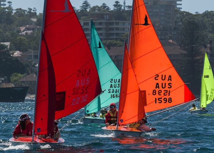 Sail boats with various coloured sails.